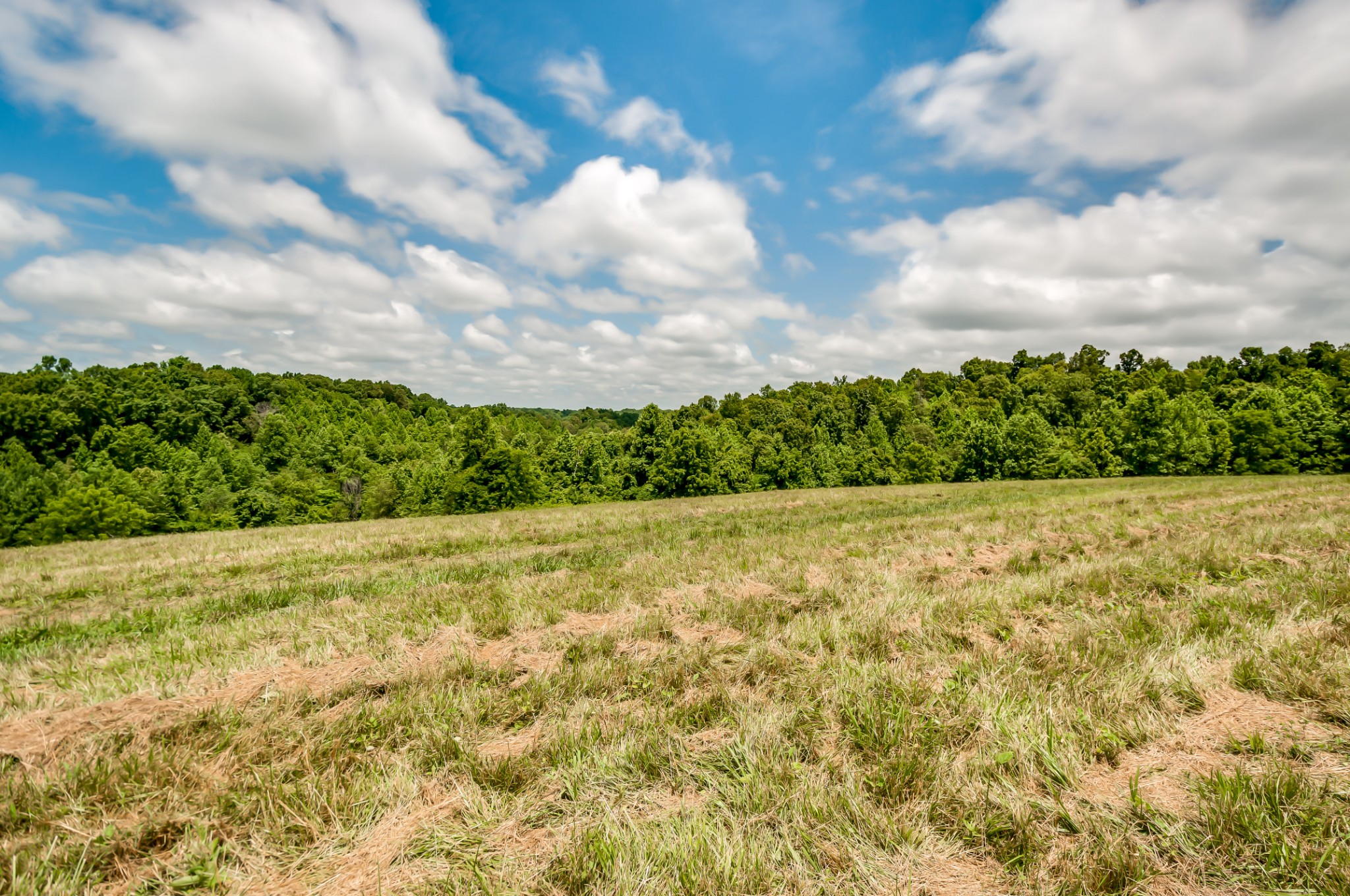 7399 Caney Fork Road Fairview, TN 37062 - Photo 12 of 41 a view of a yard with an outdoor space