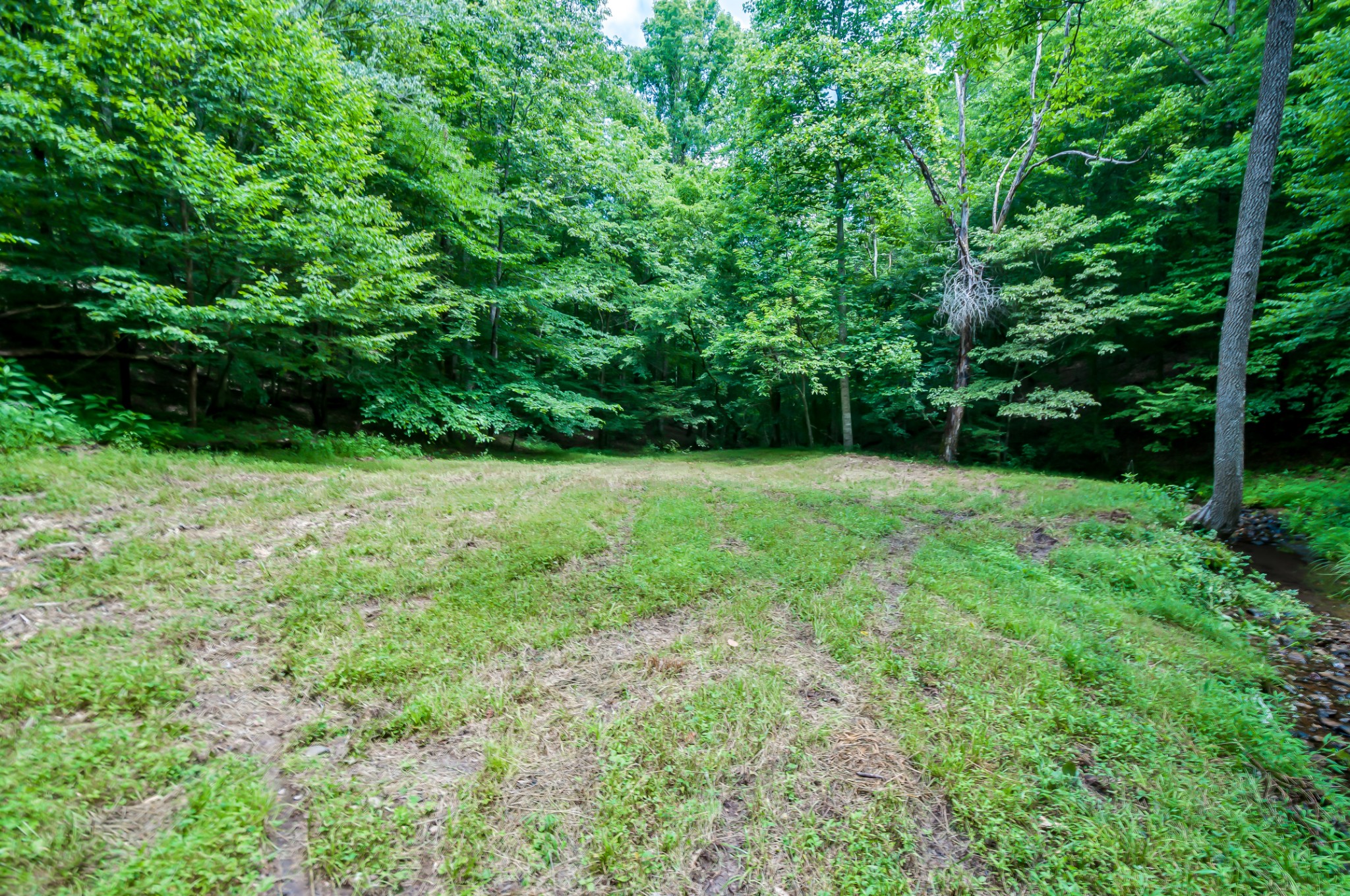 7399 Caney Fork Road Fairview, TN 37062 - Photo 16 of 41 a view of an outdoor space with a lake view