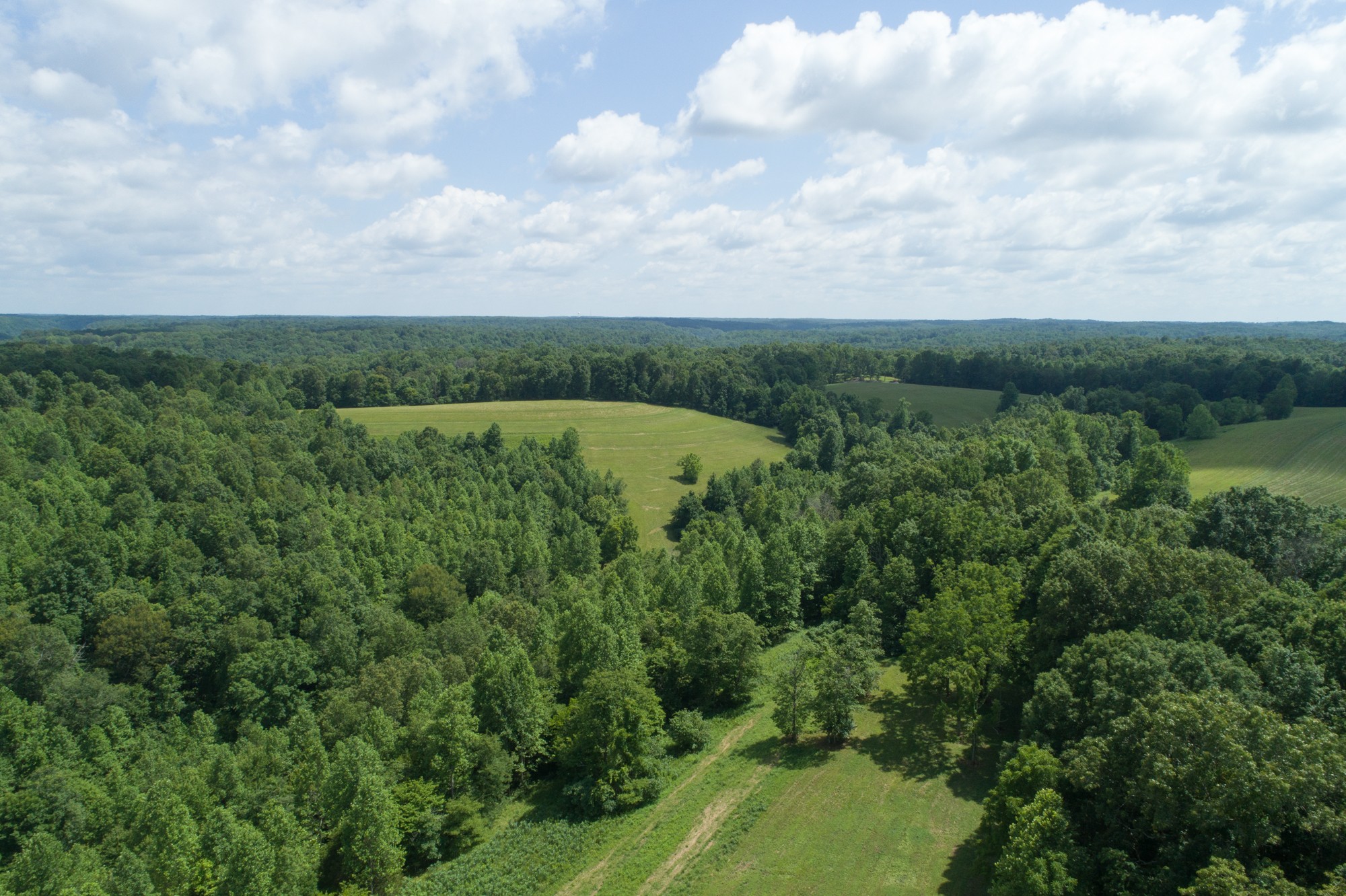 7399 Caney Fork Road Fairview, TN 37062 - Photo 23 of 41 a view of a city with lush green forest