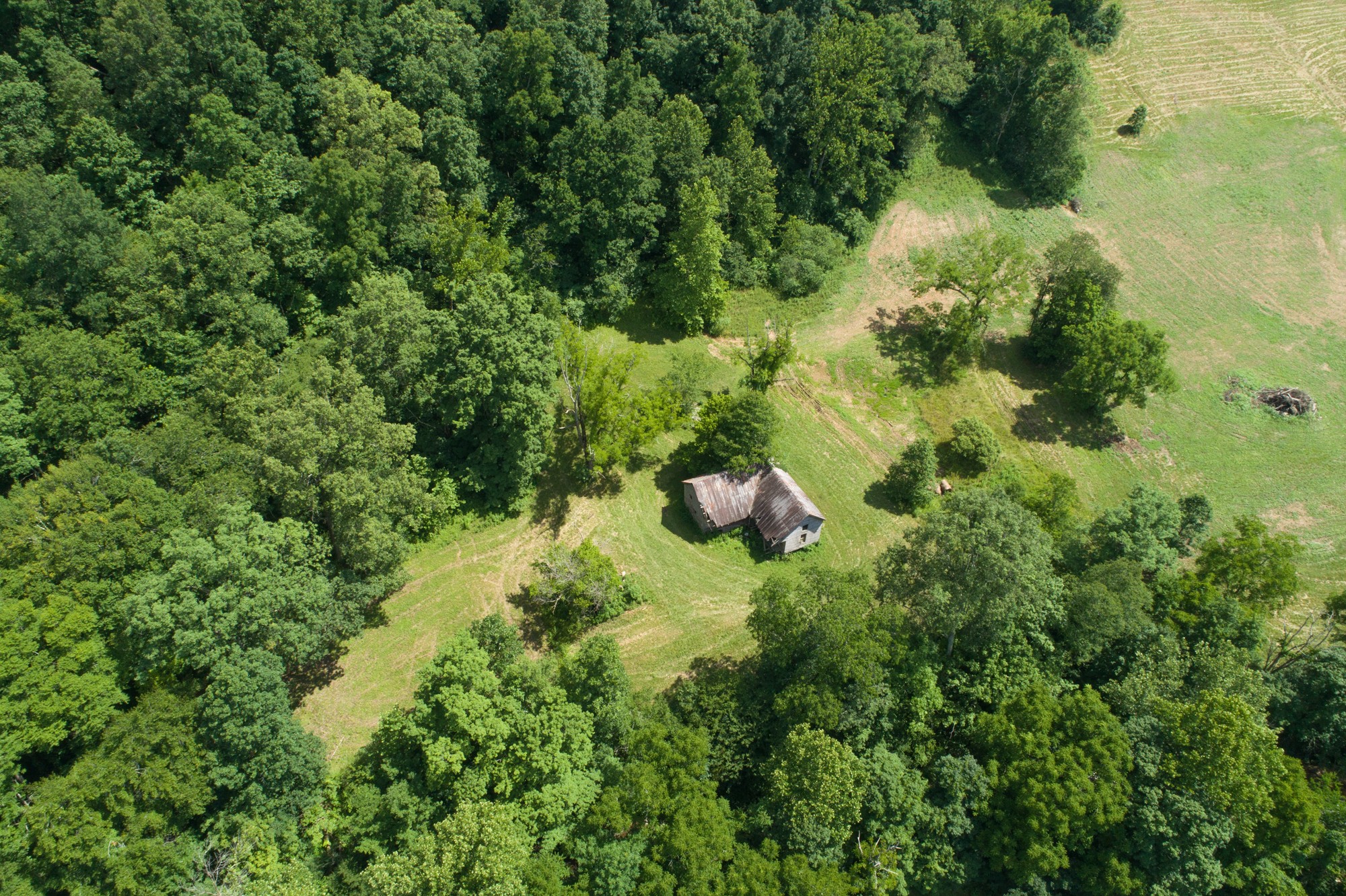 7399 Caney Fork Road Fairview, TN 37062 - Photo 24 of 41 a view of a garden with a tree