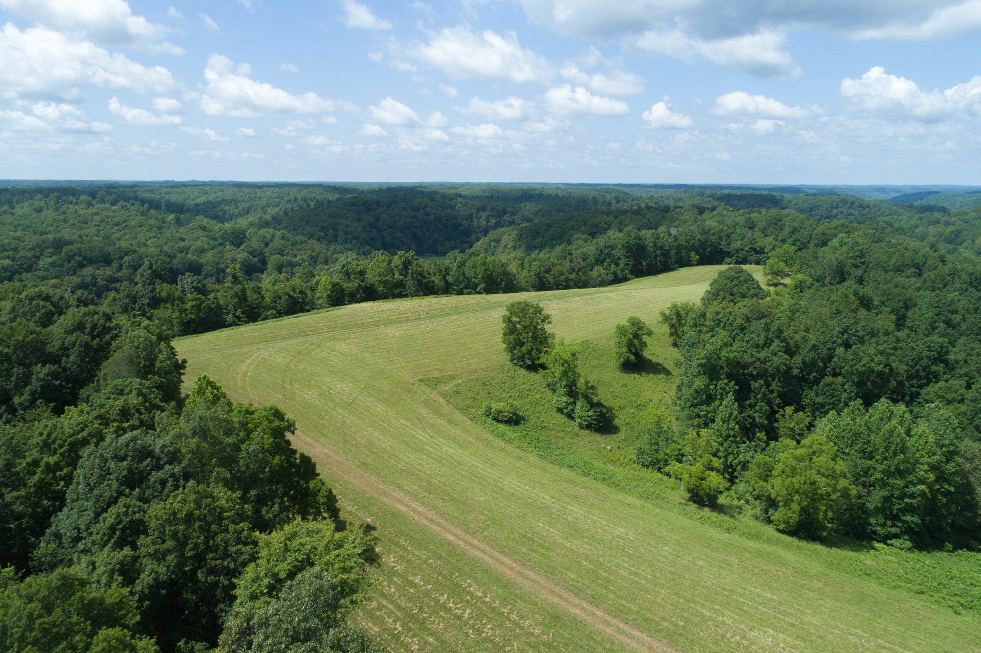 7399 Caney Fork Road Fairview, TN 37062 - Photo 26 of 41 an aerial view of a house with a yard