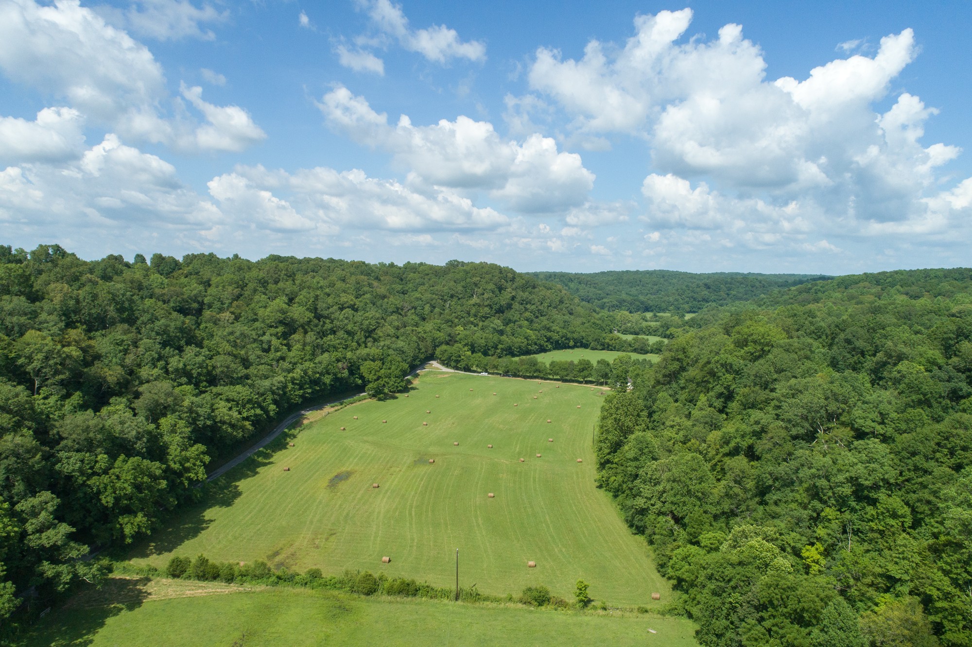 7399 Caney Fork Road Fairview, TN 37062 - Photo 27 of 41 a view of a yard