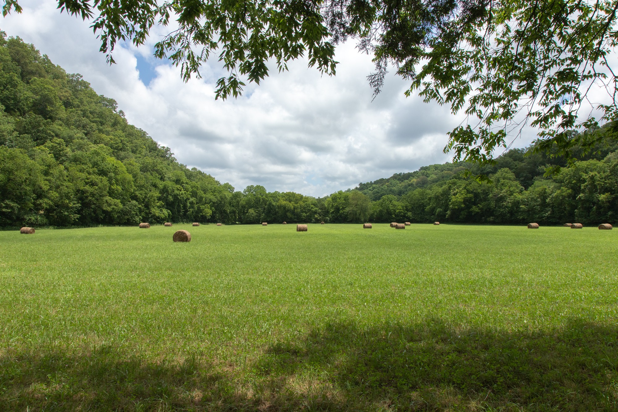 7399 Caney Fork Road Fairview, TN 37062 - Photo 29 of 41 a view of a green field with wooden fence