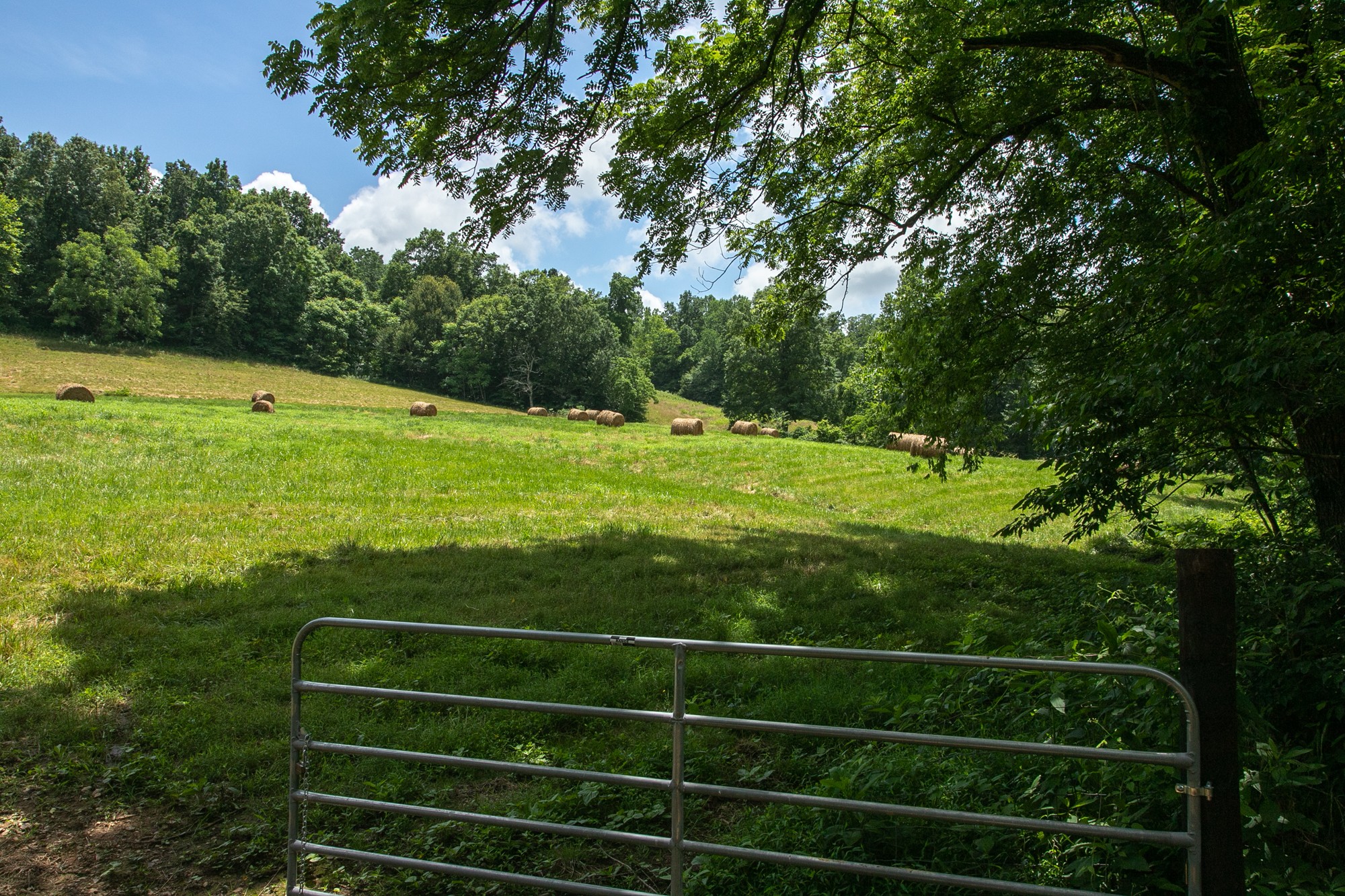 7399 Caney Fork Road Fairview, TN 37062 - Photo 31 of 41 a view of a field with grass space