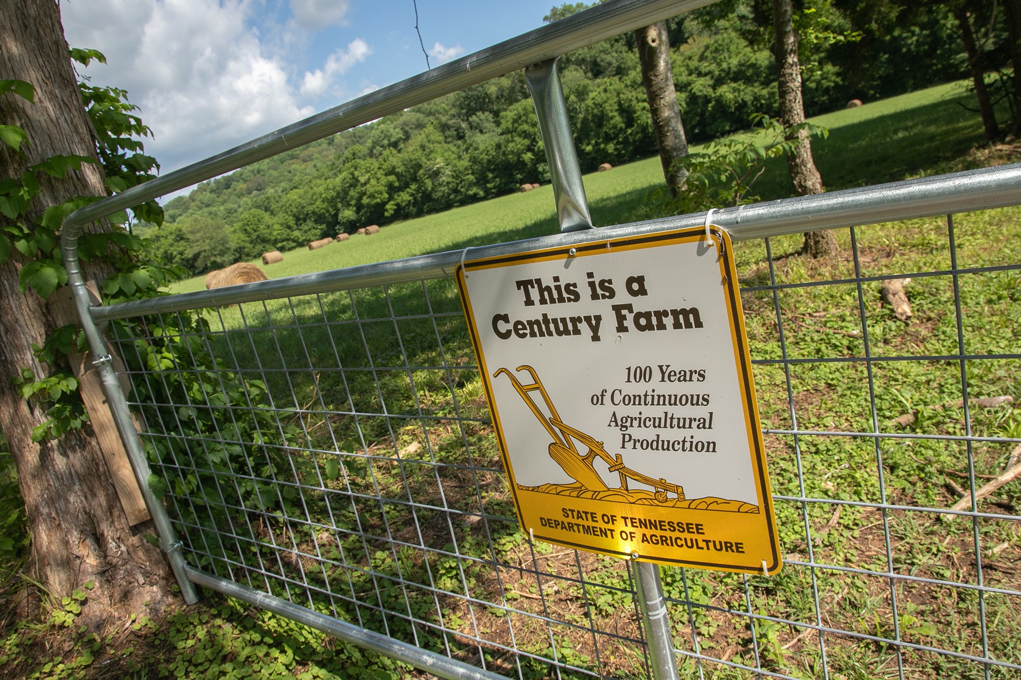 7399 Caney Fork Road Fairview, TN 37062 - Photo 36 of 41 a sign on the side of the building