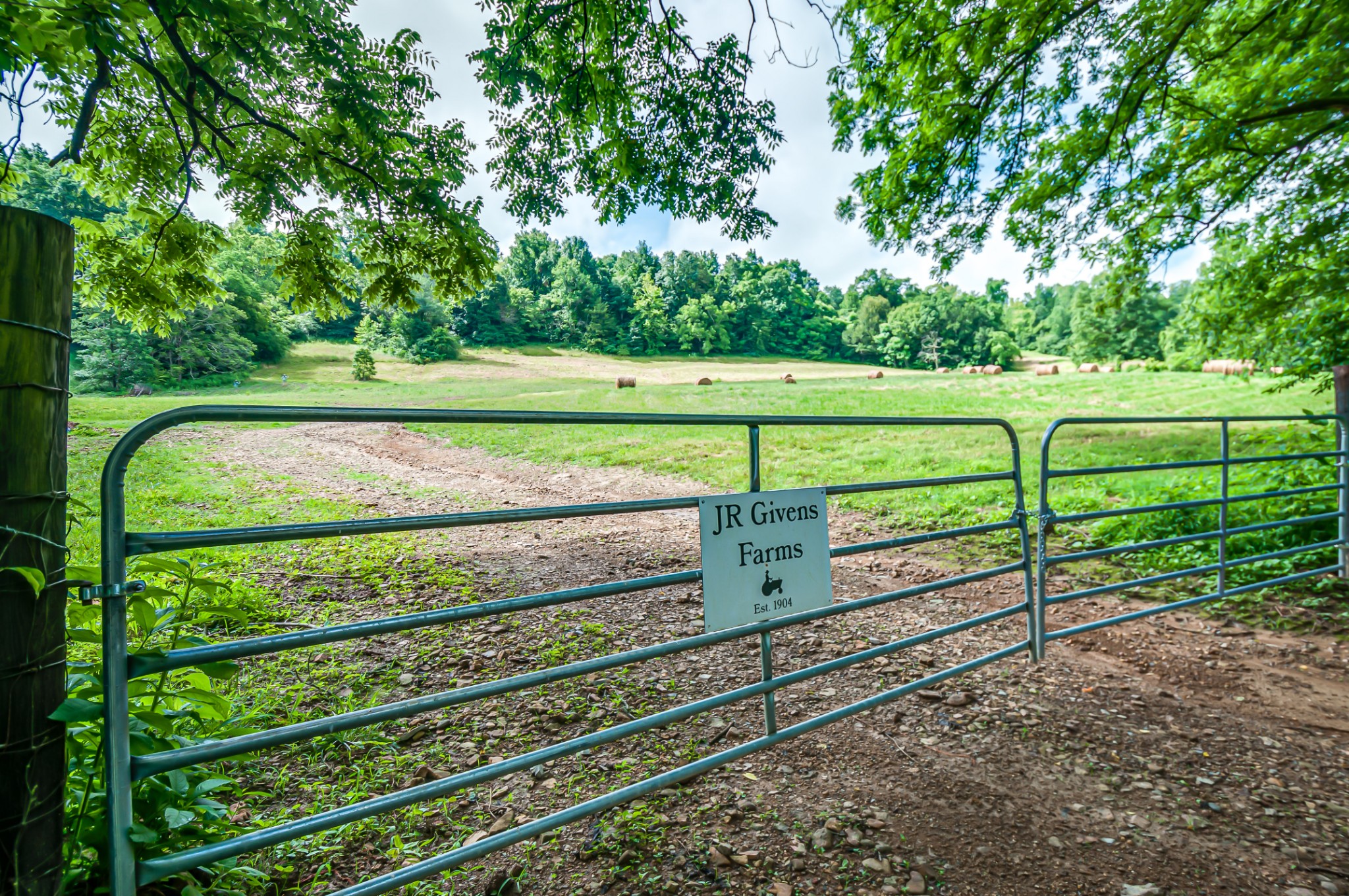 7399 Caney Fork Road Fairview, TN 37062 - Photo 37 of 41 a view of a park with large trees