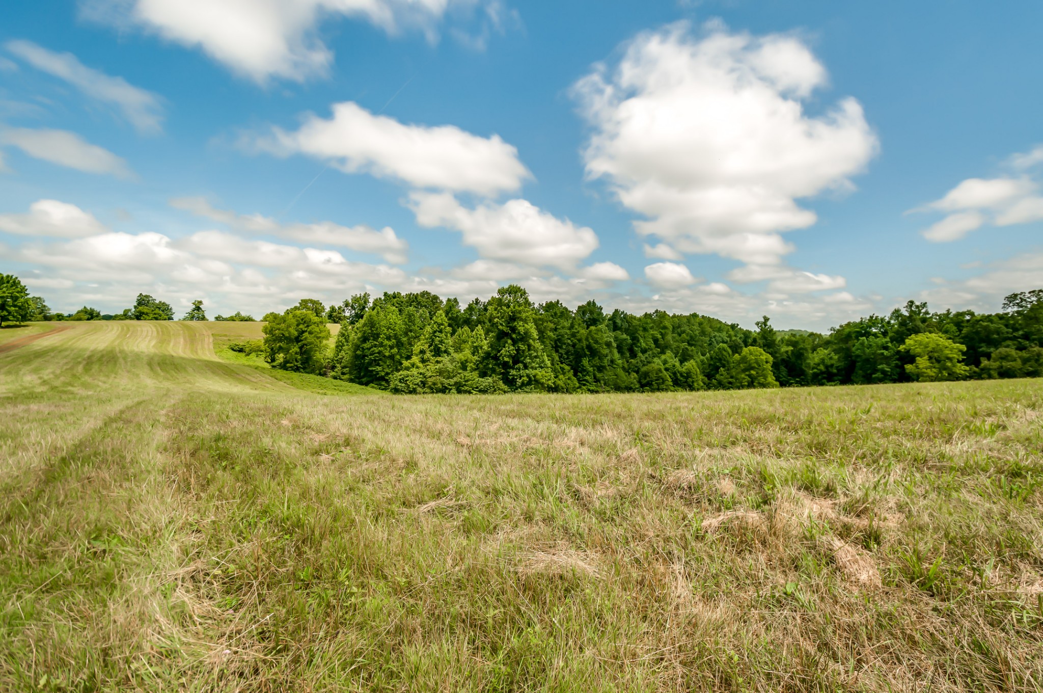 7399 Caney Fork Road Fairview, TN 37062 - Photo 39 of 41 a view of a lake view