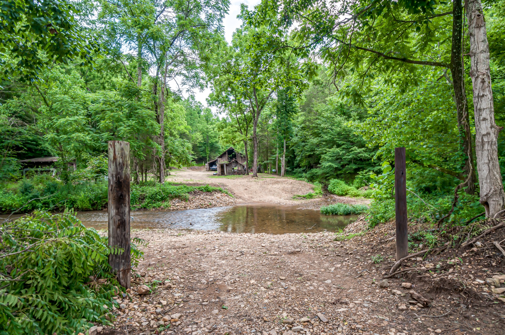 7399 Caney Fork Road Fairview, TN 37062 - Photo 4 of 41 a view of a park with large trees
