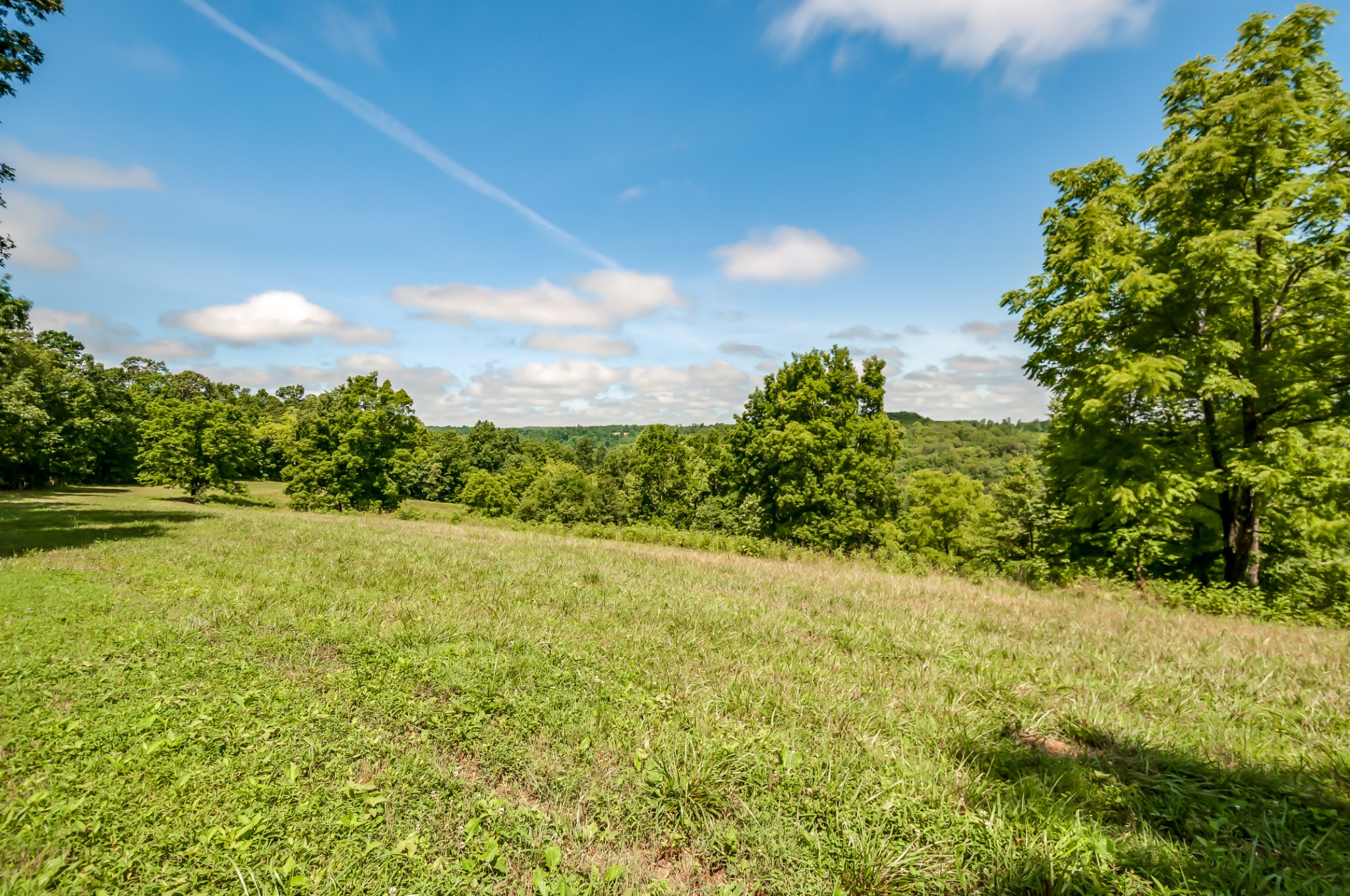 7399 Caney Fork Road Fairview, TN 37062 - Photo 9 of 41 a view of a yard with a tree
