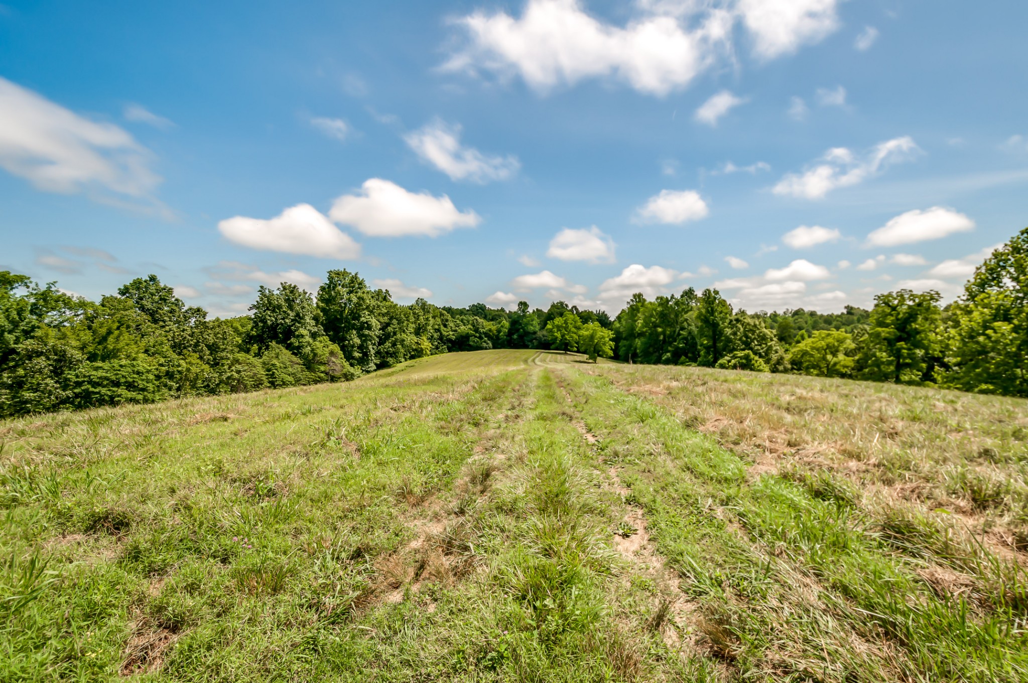 7399 Caney Fork Road Fairview, TN 37062 - Photo 10 of 41 a view of a backyard of the house