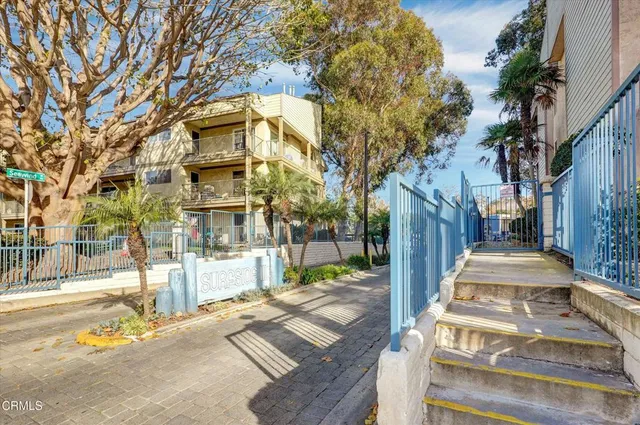 a view of a park with potted plants and palm trees