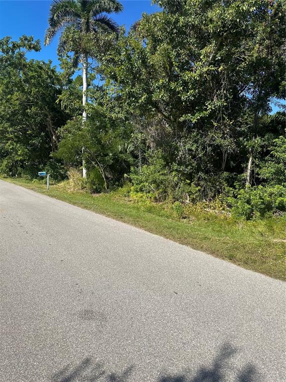 2016 Myrtle Avenue Punta Gorda, FL 33950 - Photo 2 of 3 a view of a big yard with plants and large trees