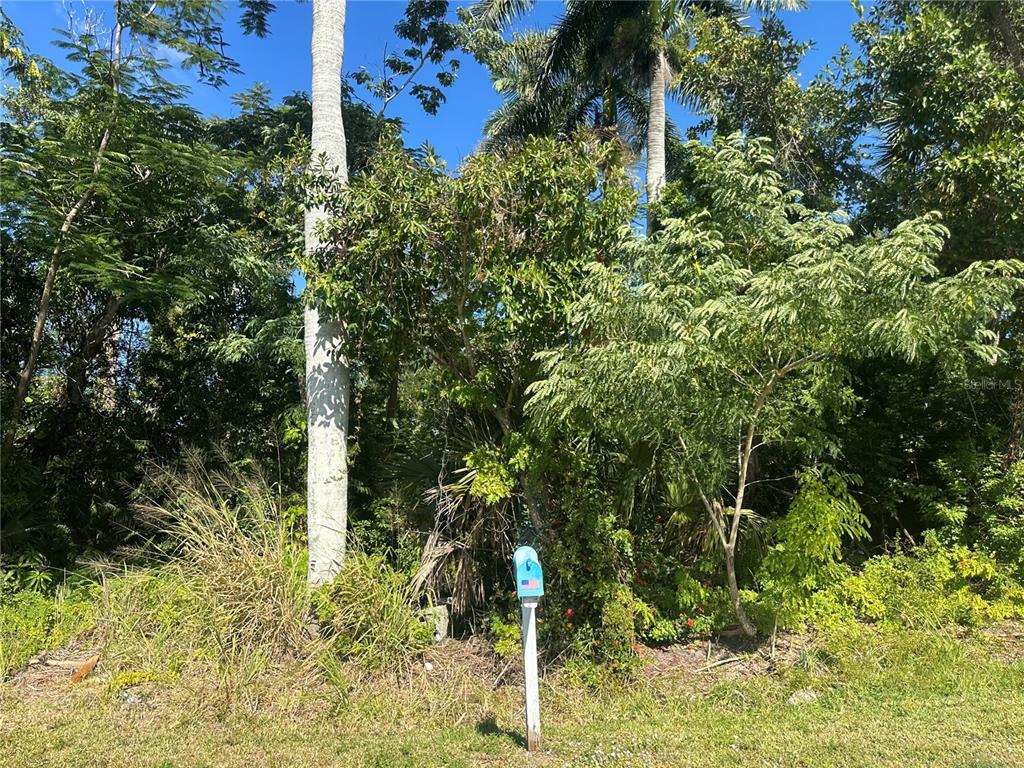 2016 Myrtle Avenue Punta Gorda, FL 33950 - Photo 3 of 3 a close up of a plant in a garden