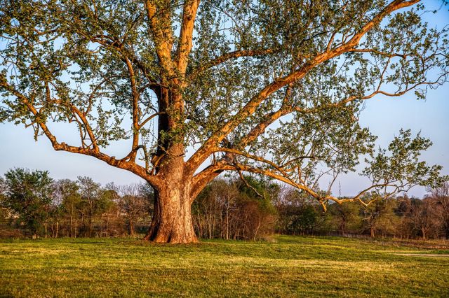 $4,100,000 | 3401 US Highway 290 East, Brenham, TX 77833