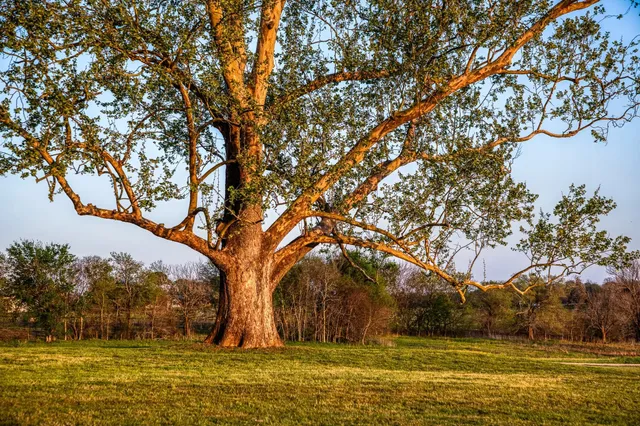 $4,100,000 | 3401 US Highway 290 East, Brenham, TX 77833