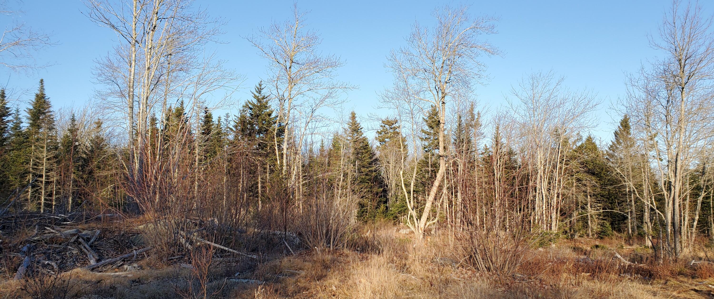 0 Salt Pond Road Cushing, ME 04563 - Photo 6 of 6 20211203_144909