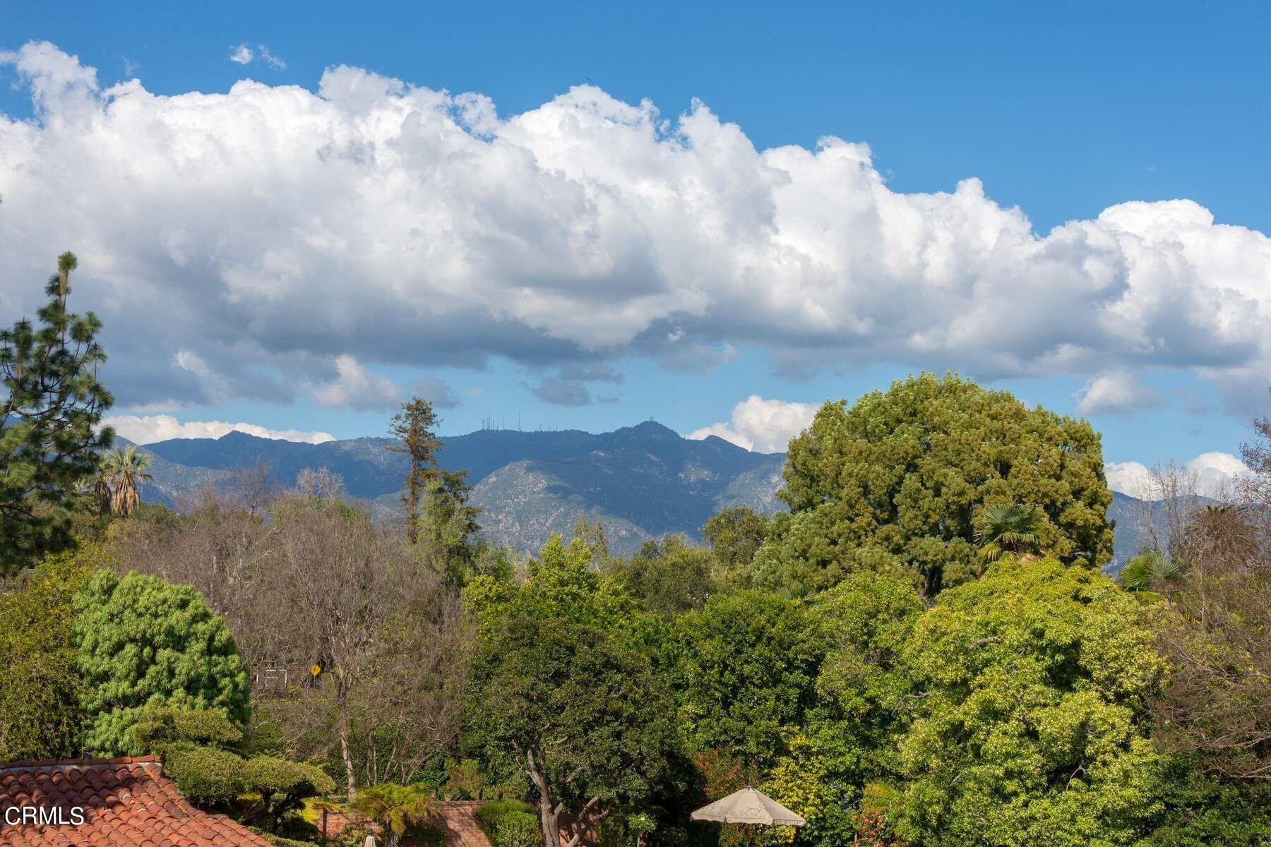 1585 Orlando Road Pasadena, CA 91106 - Photo 31 of 47 a view of a bunch of trees