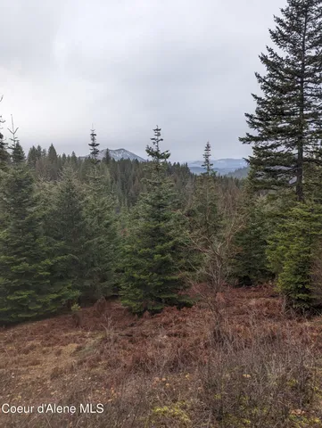 $116,000 | 9 Kingston Way, Kingston, ID 83839