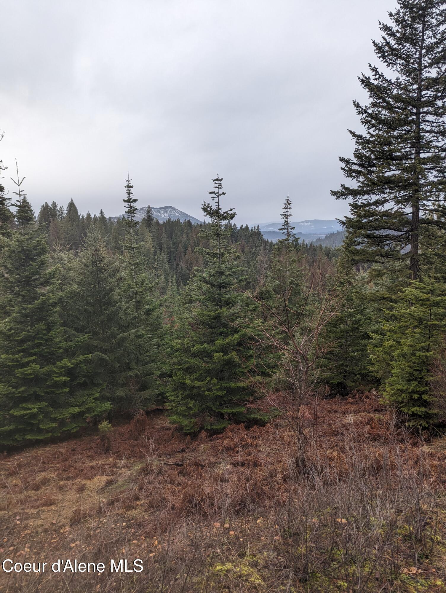 9 Kingston Way Kingston, ID 83839 - Photo 3 of 6 PXL_20240205_181201942