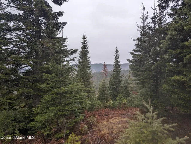 $116,000 | 9 Kingston Way, Kingston, ID 83839