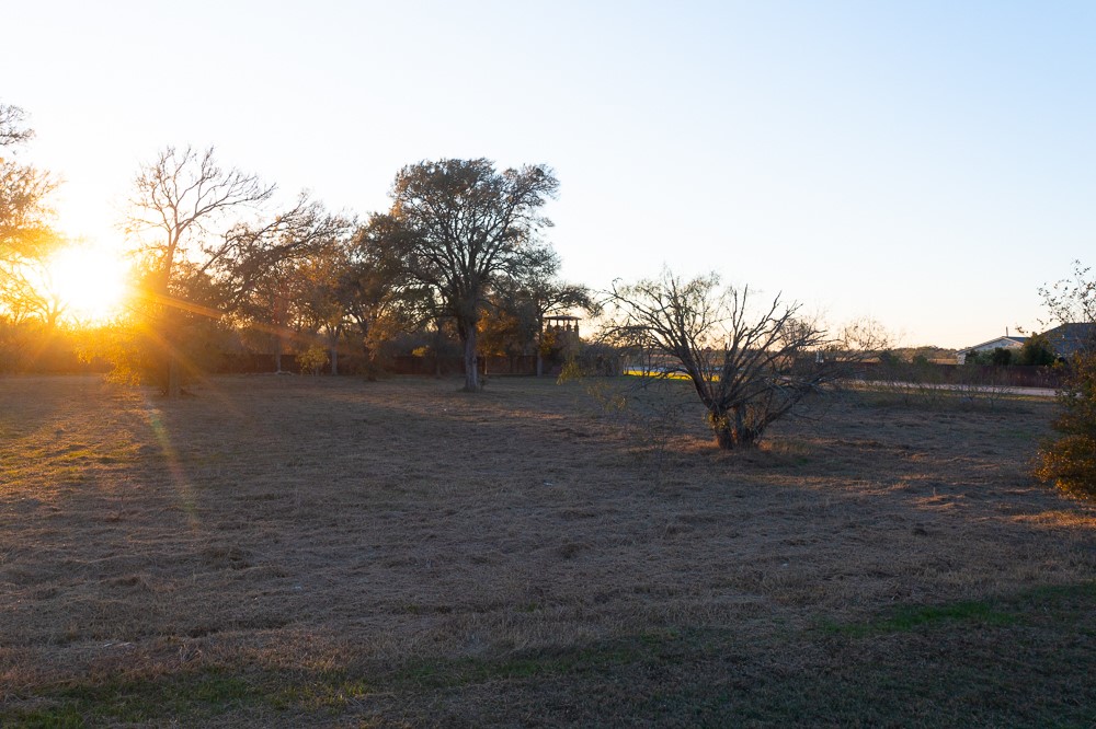 175 Cassena Ranch Drive Bastrop, TX 78602 - Photo 3 of 12 a view of outdoor space and yard