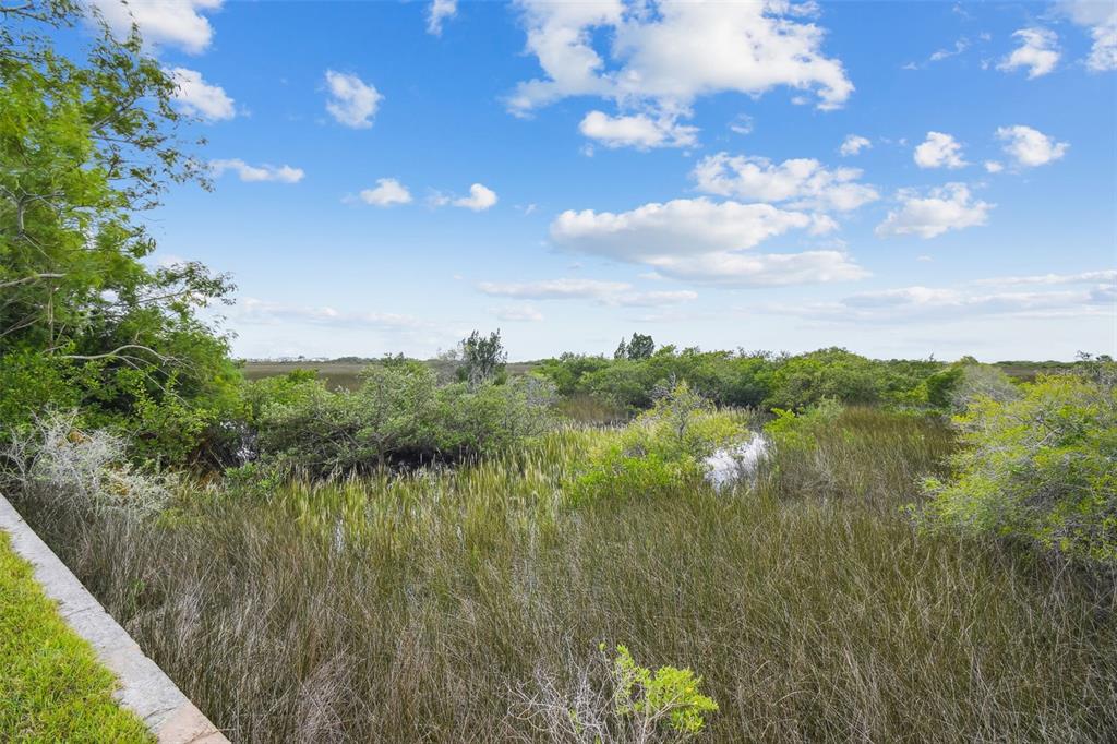 Southwind Drive Hudson, FL 34667 - Photo 7 of 34