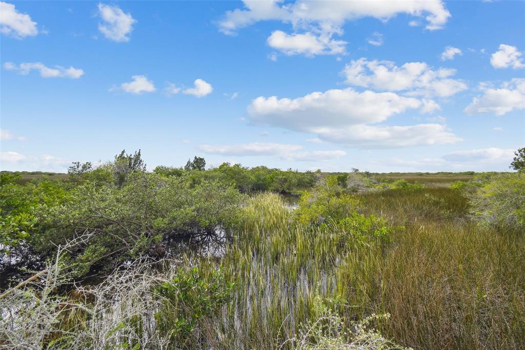 Southwind Drive Hudson, FL 34667 - Photo 9 of 34