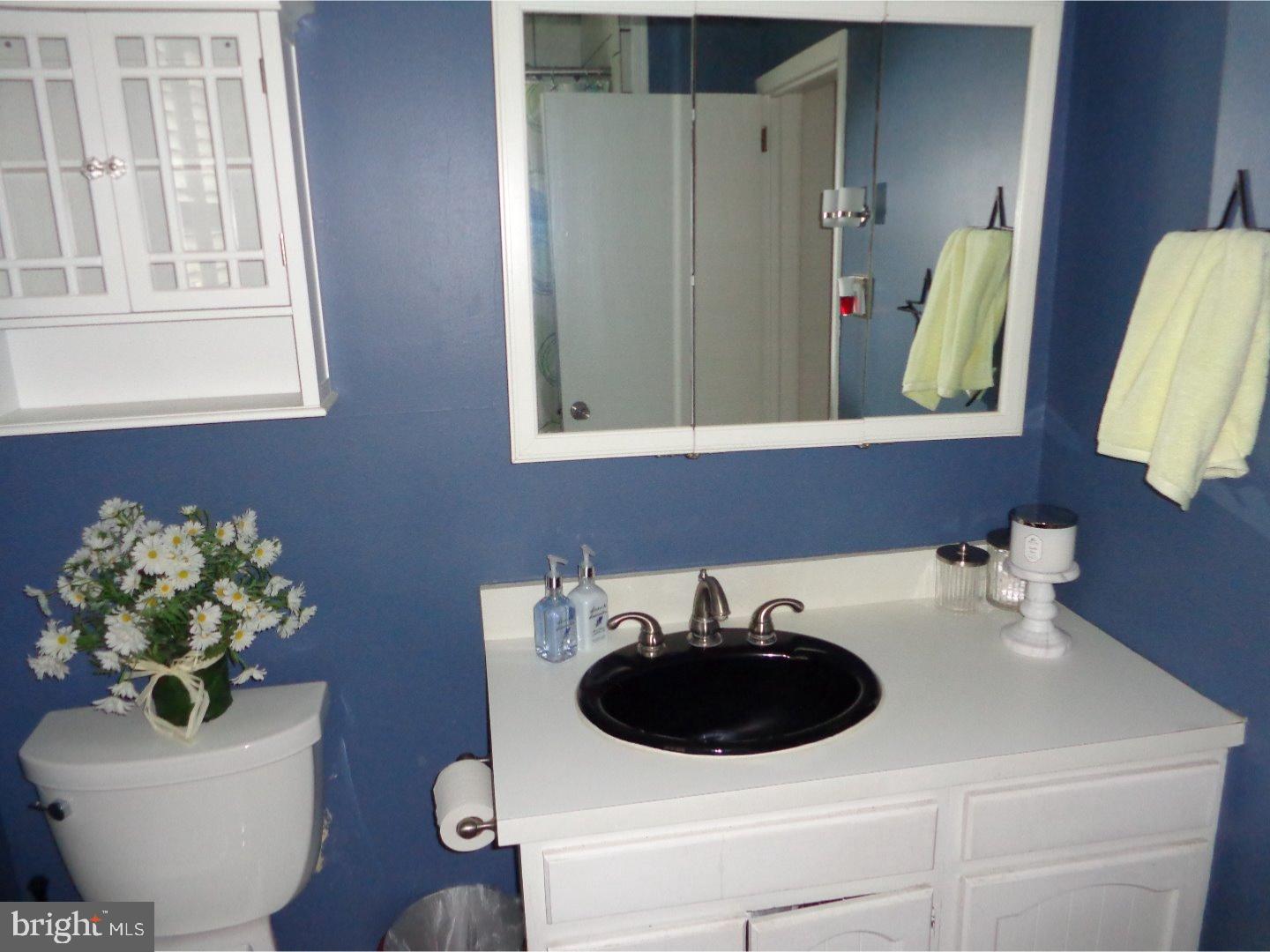 323 Center Avenue Riverside, NJ 08075 - Photo 13 of 14 Bathroom