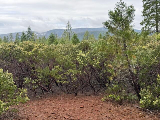 Lone Mountain Road, Unit 1300 Cave Junction, OR 97523 - Photo 10 of 15 Perhaps this view could be capitalized and take advantage of it.