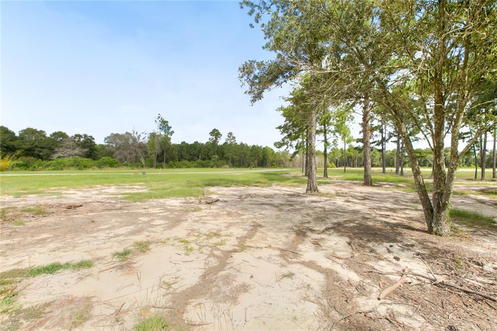 616 Ramsey Spring Drive Covington, LA 70435 - Photo 5 of 12