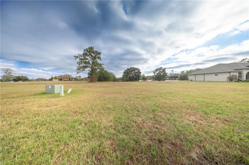 616 Ramsey Spring Drive Covington, LA 70435 - Photo 6 of 12