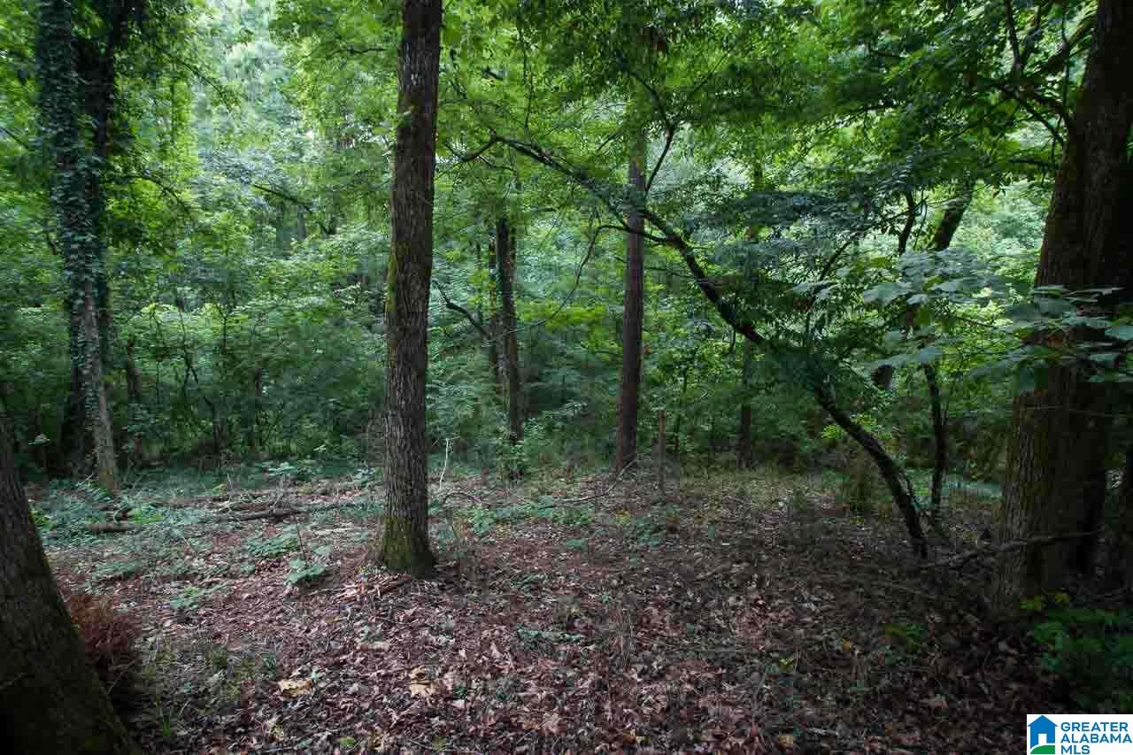 2157 Partridge Berry Road Birmingham, AL 35244 - Photo 33 of 33