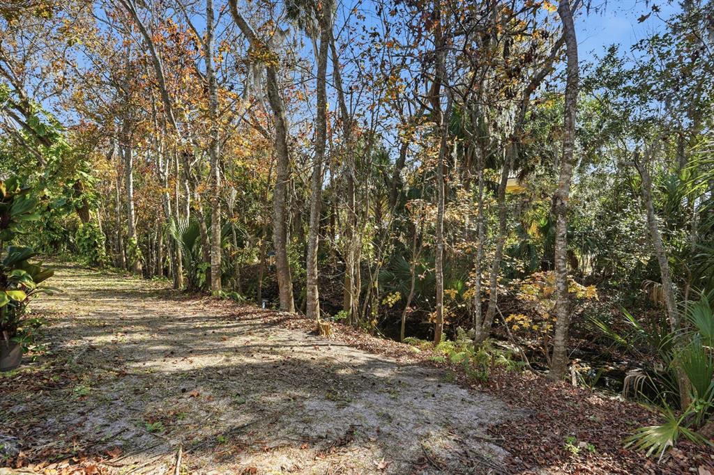 1502 Deer Springs Road Port Orange, FL 32129 - Photo 27 of 35 a view of outdoor space with trees