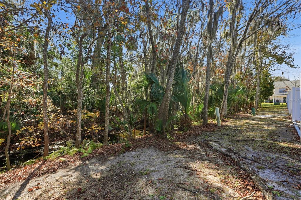 1502 Deer Springs Road Port Orange, FL 32129 - Photo 28 of 35 a view of a forest with trees in the background