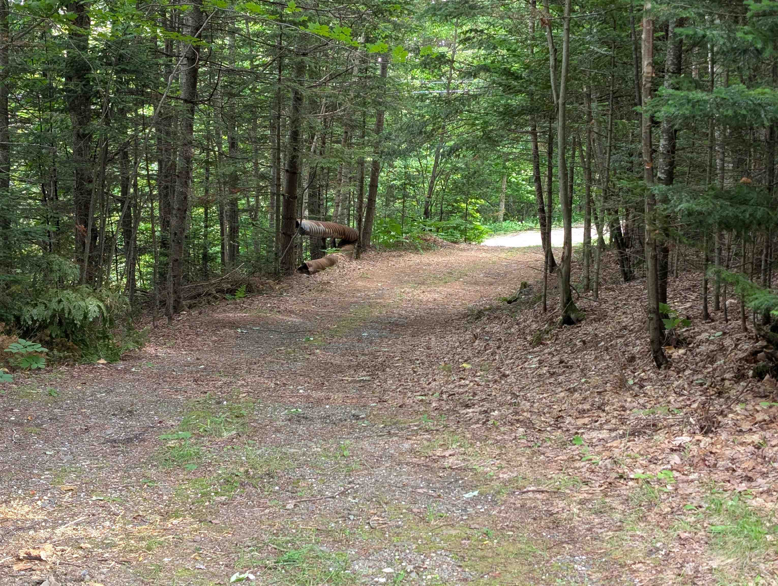 16 Griffin Road Stewartstown, NH 03576 - Photo 5 of 41