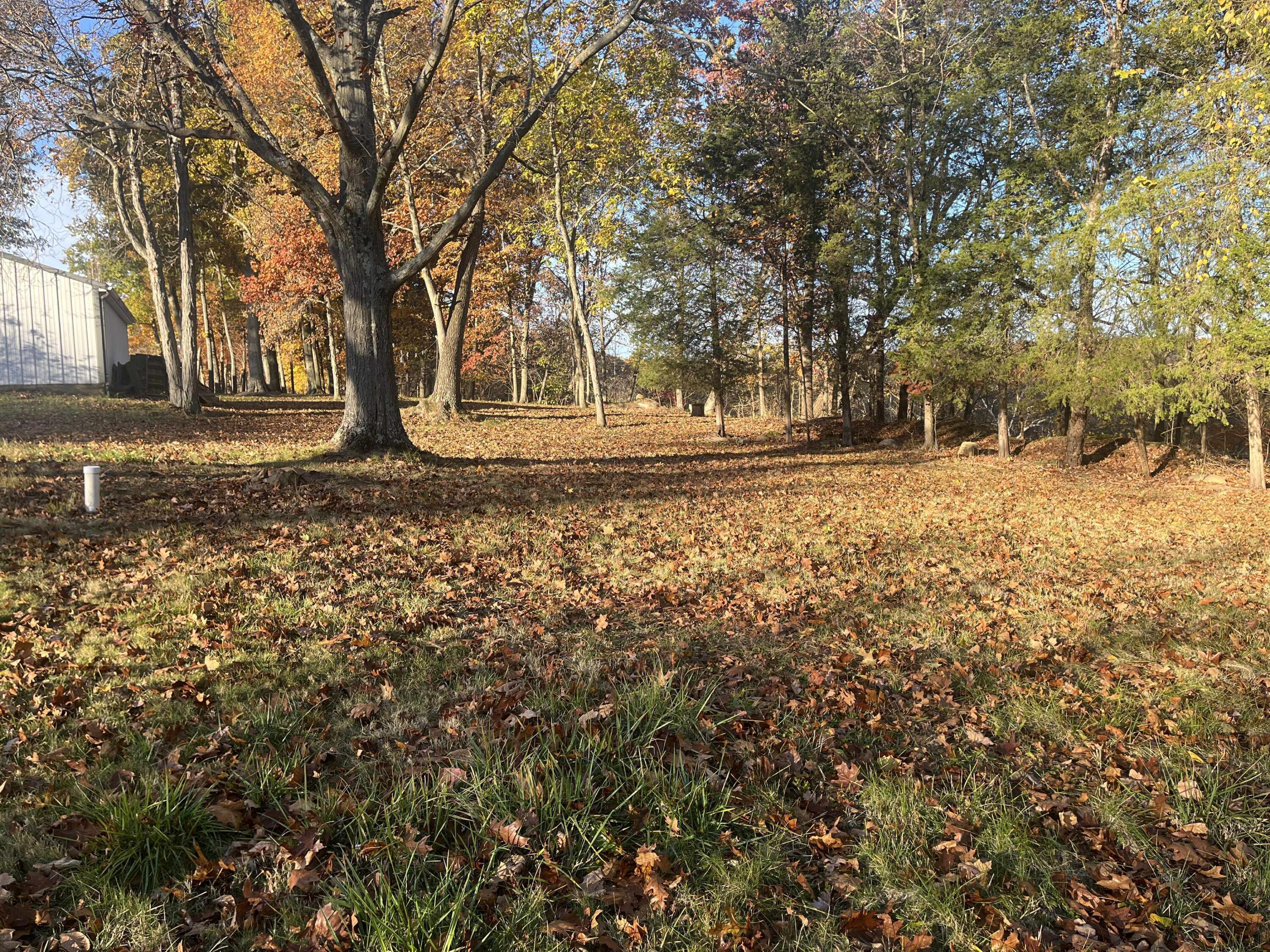51232 North Ridge Road Vermilion, OH 44089 - Photo 27 of 33 Back yard 2