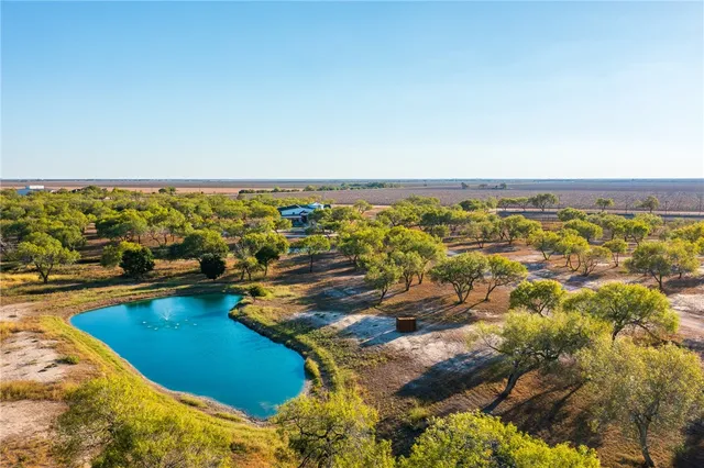 a view of an ocean with trees