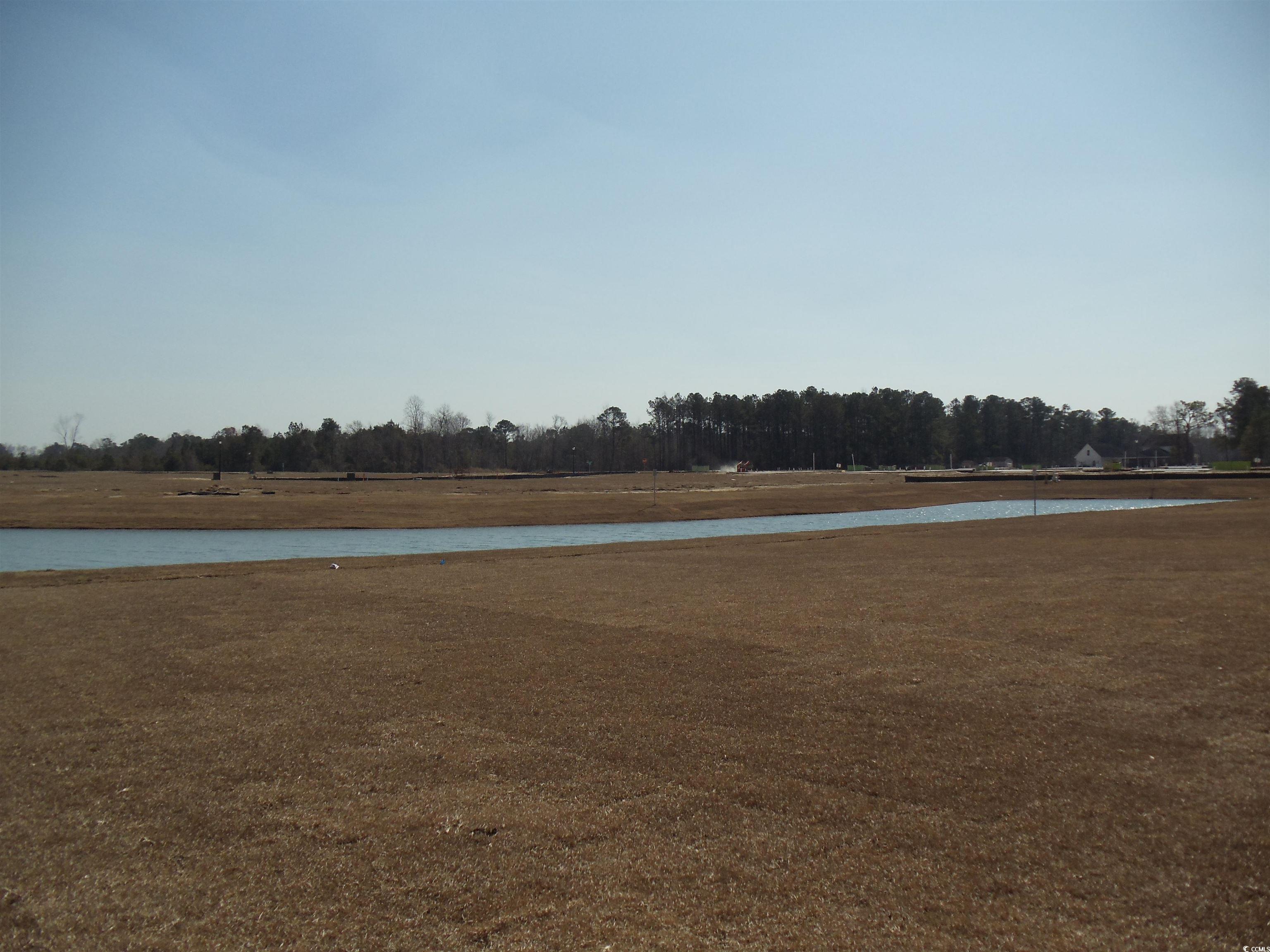 444 Ribbon Rail Way Loris, SC 29569 - Photo 4 of 5 View of yard with a water view