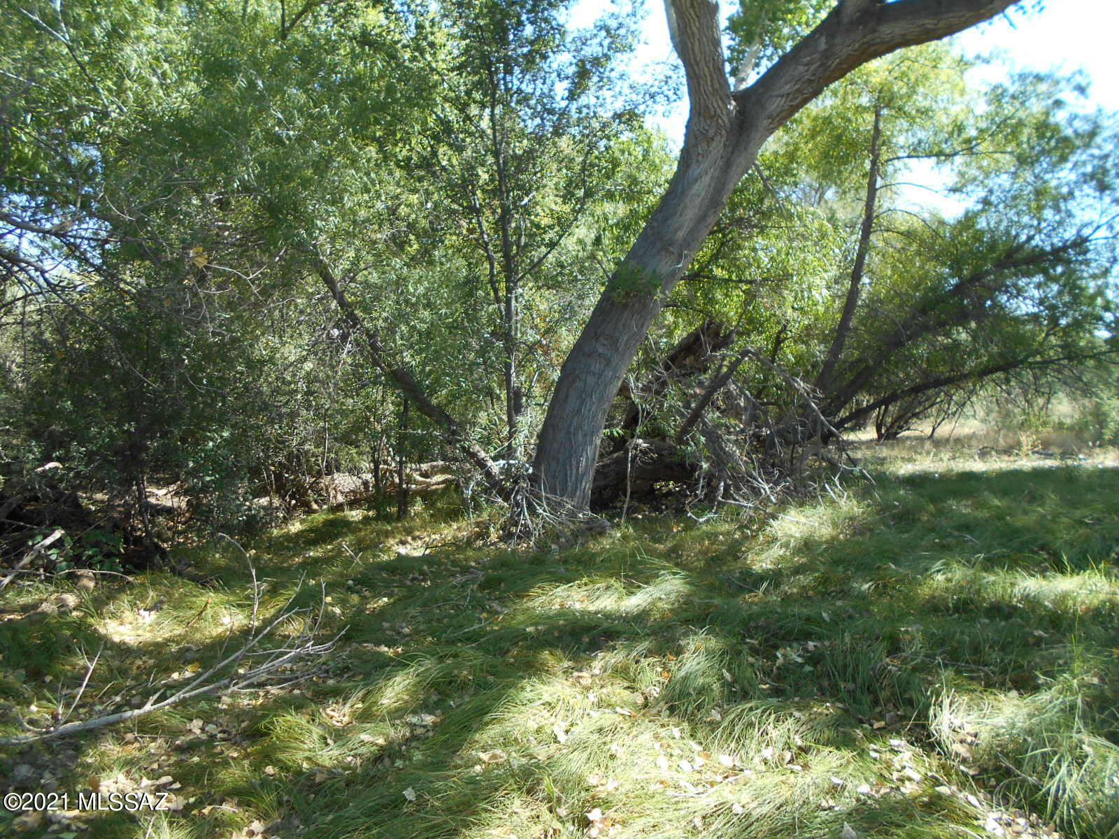 2847 South Cary Road St. David, AZ 85630 - Photo 25 of 49 Gallery Image 25