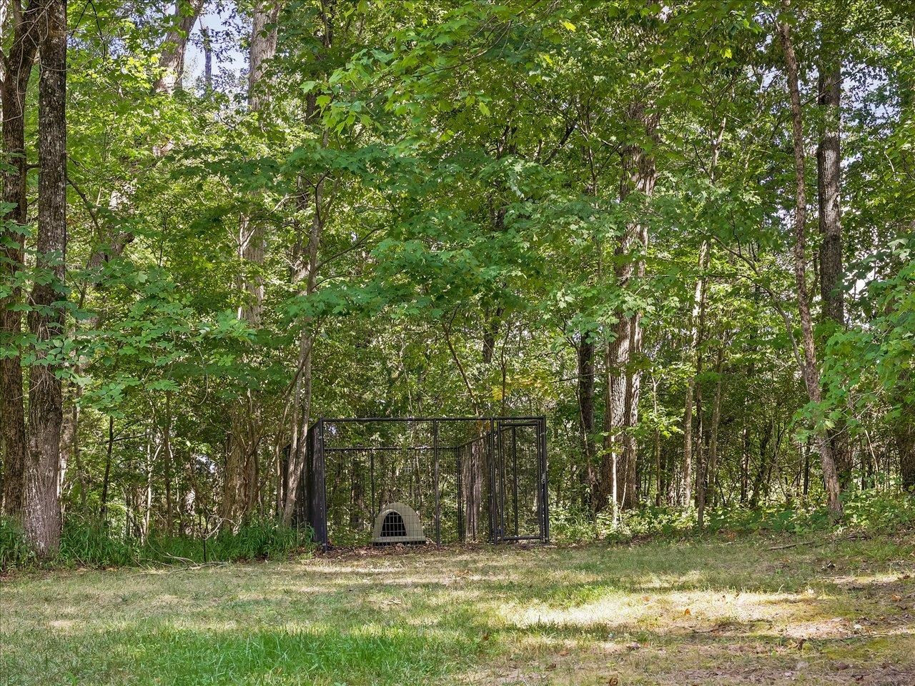 4301 Amberwood Road Haw River, NC 27258 - Photo 61 of 70 Dog Kennel