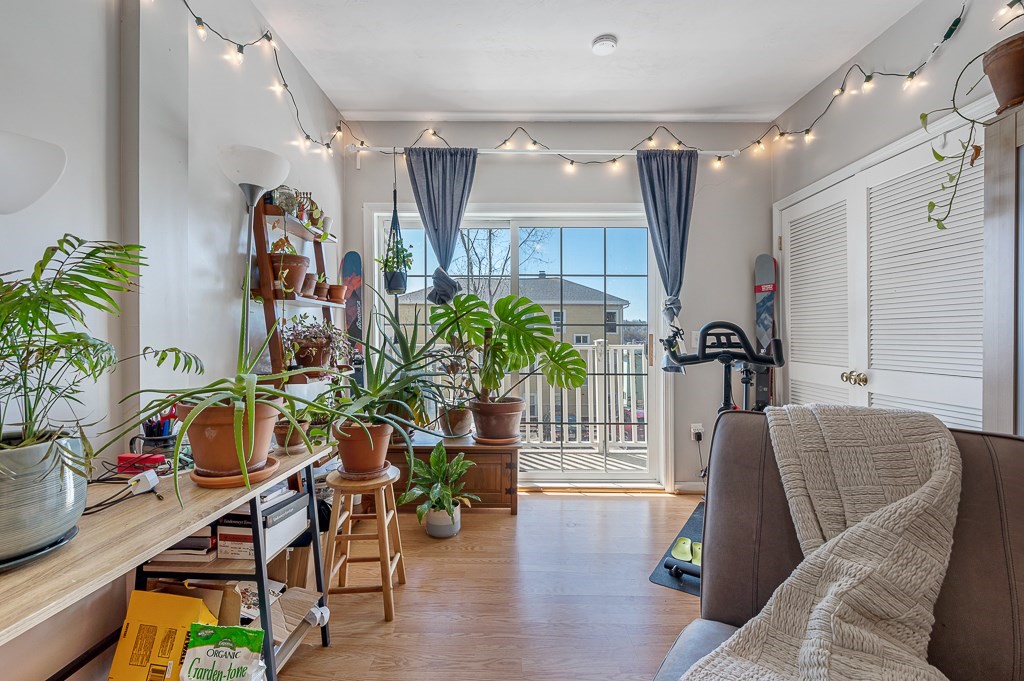 50 Adams Street, Unit 101 Worcester, MA 01604 - Photo 8 of 20 a living room with furniture and a potted plant