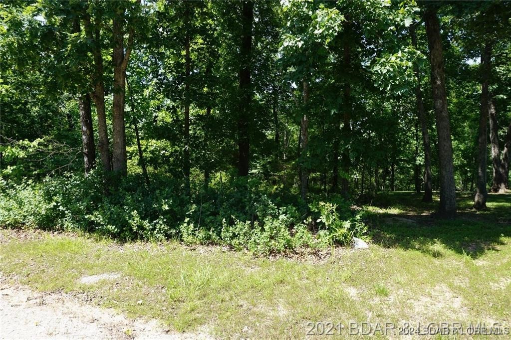 7 Columbine Road Four Seasons, MO 65049 - Photo 3 of 12 Wooded Building Lot