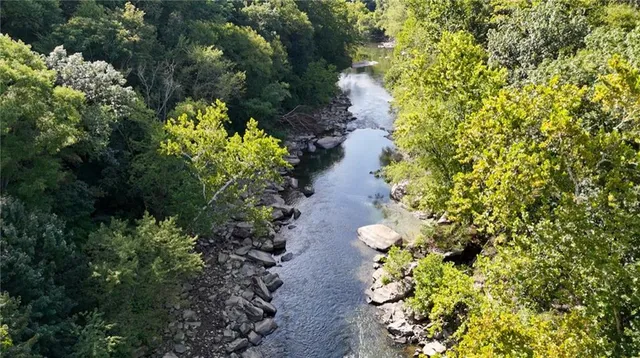 a picture of flowers