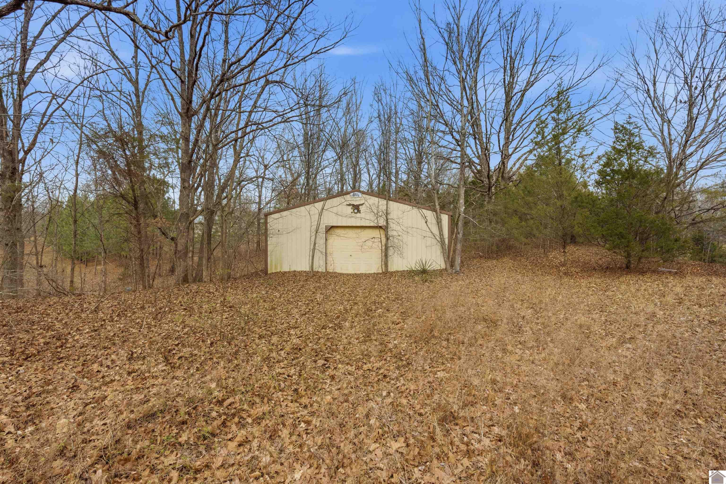915 Jake Dukes Road Grand Rivers, KY 42045 - Photo 39 of 49 Detached Shop