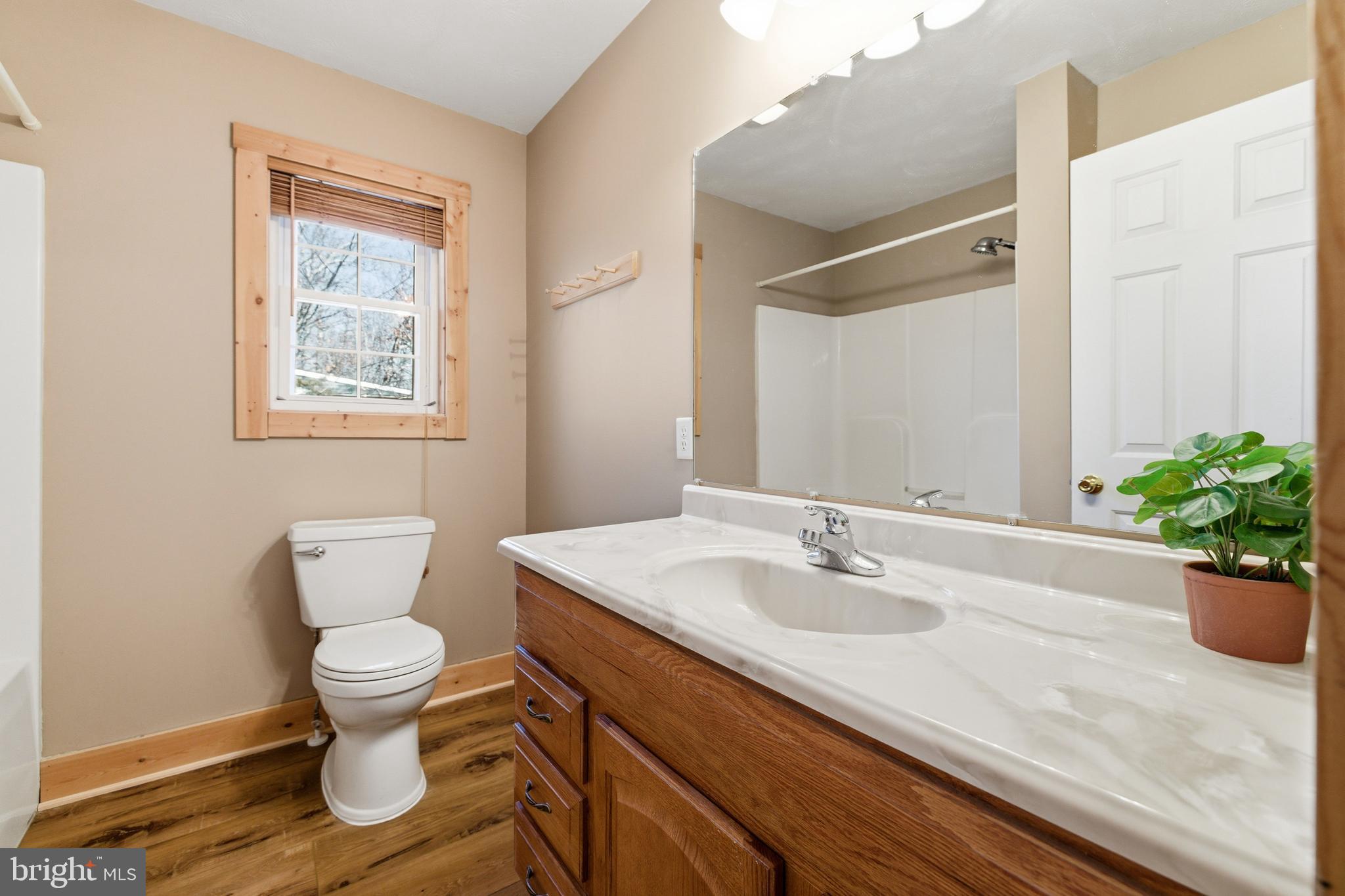 86 Maple Avenue Mount Jackson, VA 22842 - Photo 16 of 49 a bathroom with a sink a toilet a mirror and shower