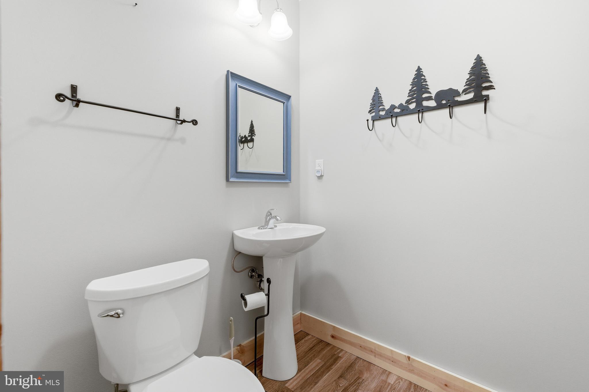86 Maple Avenue Mount Jackson, VA 22842 - Photo 29 of 49 a bathroom with a sink toilet and a mirror