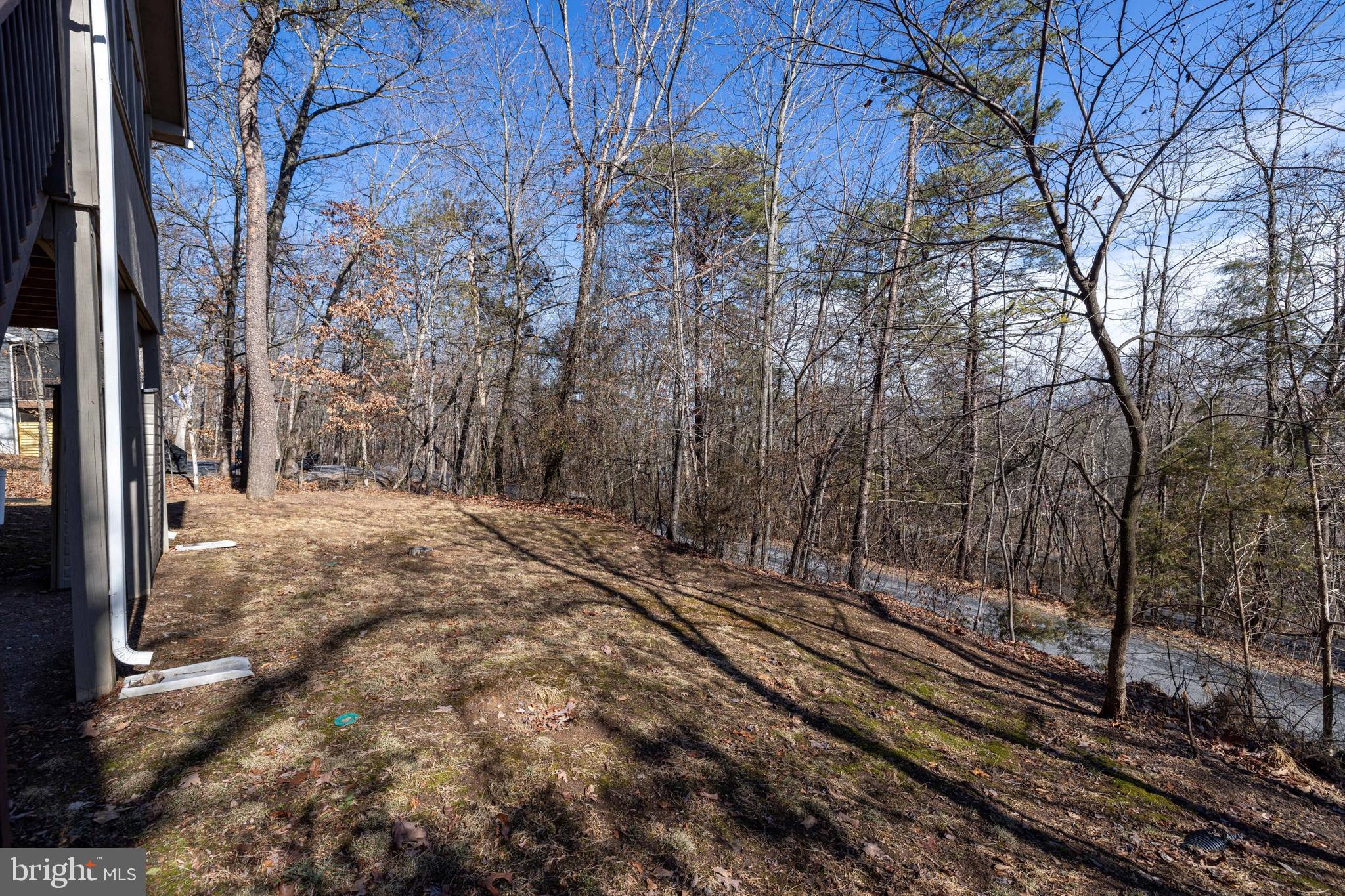 86 Maple Avenue Mount Jackson, VA 22842 - Photo 40 of 49 a view of a yard with large trees
