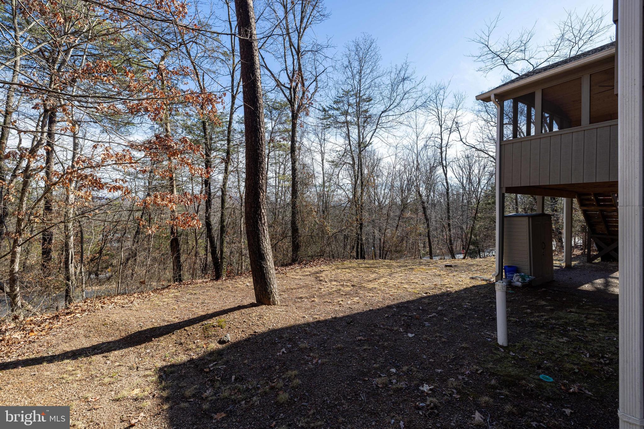 86 Maple Avenue Mount Jackson, VA 22842 - Photo 41 of 49 a view of a house with backyard and trees