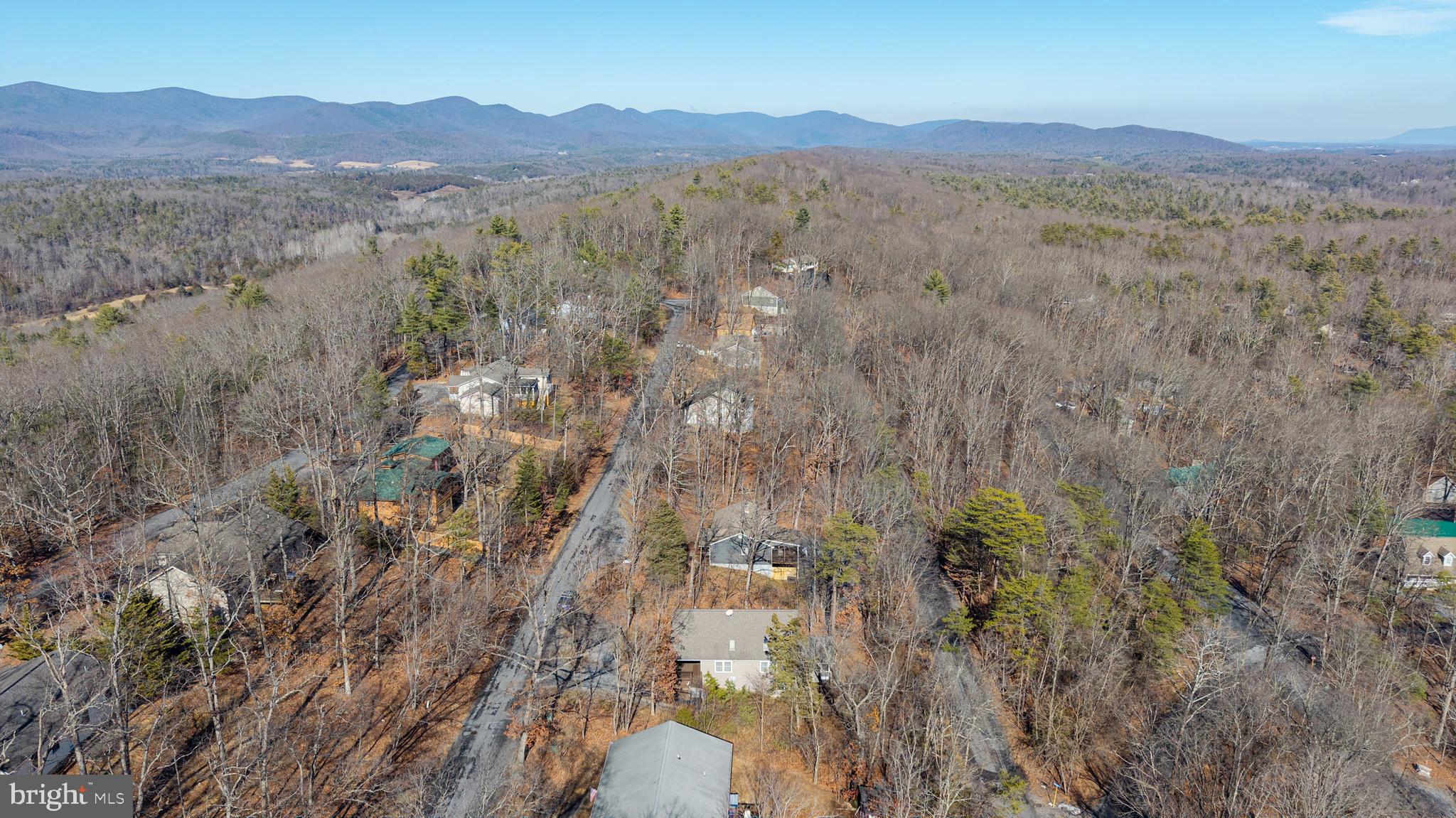 86 Maple Avenue Mount Jackson, VA 22842 - Photo 45 of 49 a view of a forest with mountains in the background
