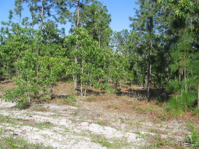 2000 Pinehurst Road Southport, NC 28461 - Photo 1 of 11 Primary Photo